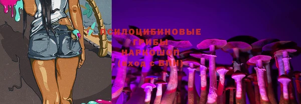 тгк Алексеевка