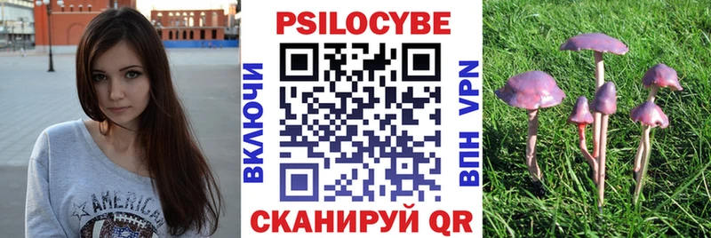 купить  цена  Новая Ладога  Псилоцибиновые грибы Psilocybine cubensis 